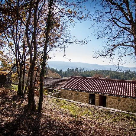 ヴァーレ・デ・カンブラ Casas Dos Avosゲストハウス 部屋 写真