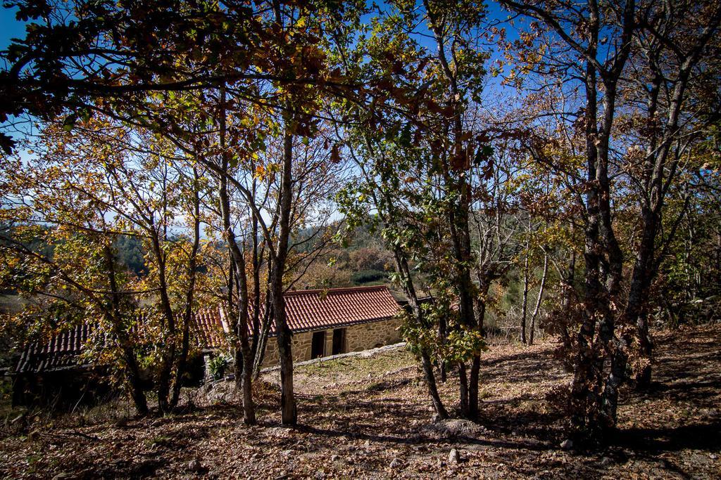 ヴァーレ・デ・カンブラ Casas Dos Avosゲストハウス 部屋 写真