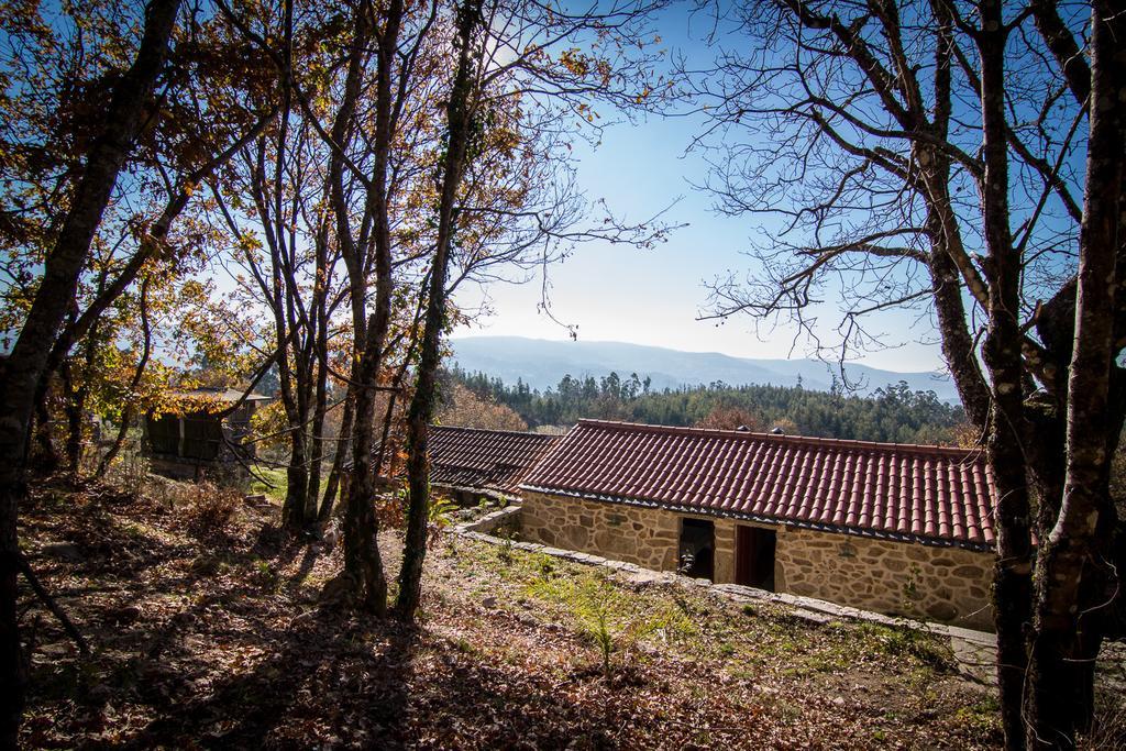 ヴァーレ・デ・カンブラ Casas Dos Avosゲストハウス 部屋 写真