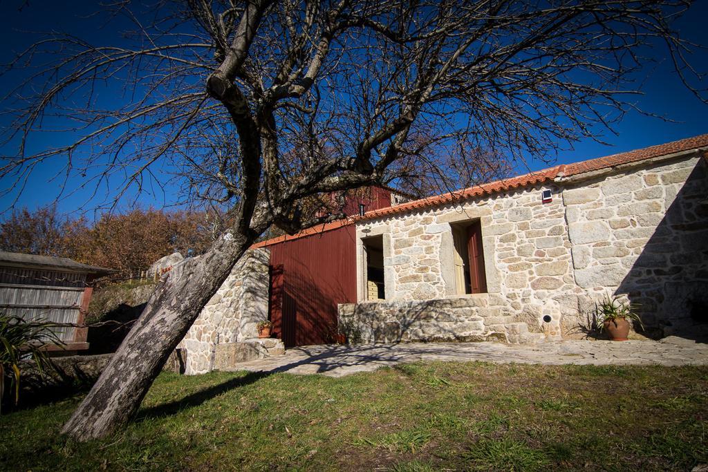 ヴァーレ・デ・カンブラ Casas Dos Avosゲストハウス 部屋 写真